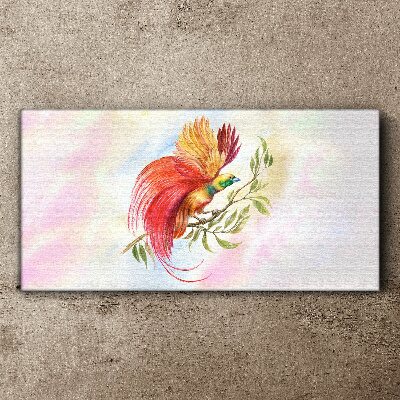 Schilderij op doek Een kleurrijke vogel op een tak