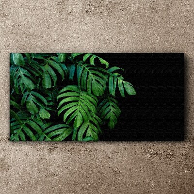 Canvas schilderij Groene bladeren op een zwarte achtergrond