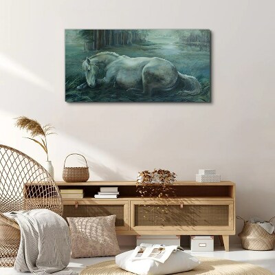 Foto op canvas Een kalm paard in een boslandschap