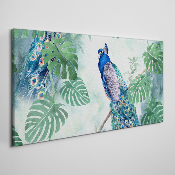 Schilderij op doek Pauw in de tropische jungle