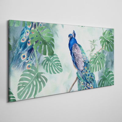 Schilderij op doek Pauw in de tropische jungle