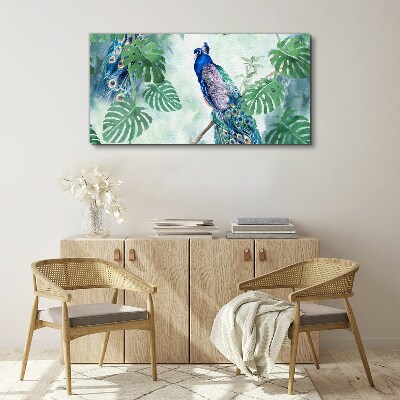 Schilderij op doek Pauw in de tropische jungle