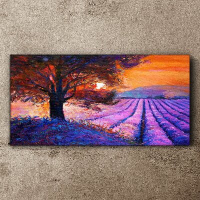 Foto op canvas Paars landschap bij zonsondergang
