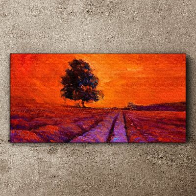 Canvas schilderij Zonsondergang over de velden