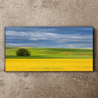 Canvas schilderij Gele velden onder een blauwe lucht