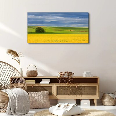 Canvas schilderij Gele velden onder een blauwe lucht