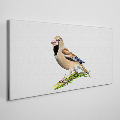Foto op canvas Een vogel op een takje