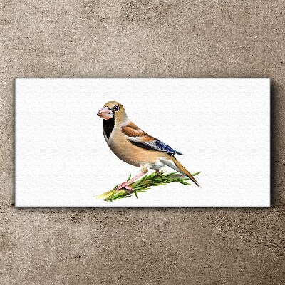 Foto op canvas Een vogel op een takje