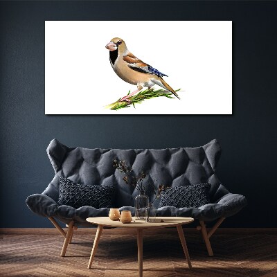 Foto op canvas Een vogel op een takje