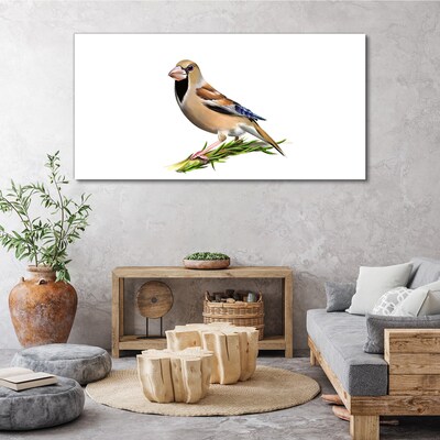 Foto op canvas Een vogel op een takje