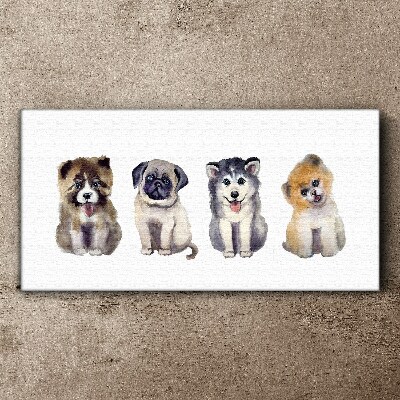 Foto op canvas Vier schattige puppy's
