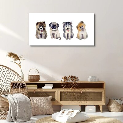 Foto op canvas Vier schattige puppy's