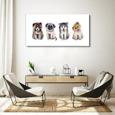 Foto op canvas Vier schattige puppy's