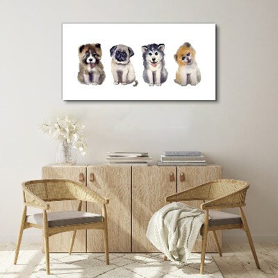 Foto op canvas Vier schattige puppy's