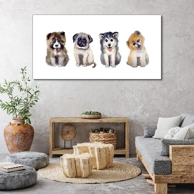 Foto op canvas Vier schattige puppy's