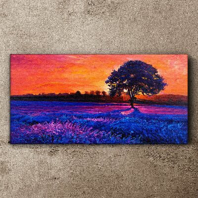 Canvas schilderij Zonsondergang boven een paars veld