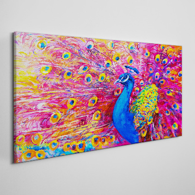 Foto op canvas Een kleurrijke pauw in de lentegloed