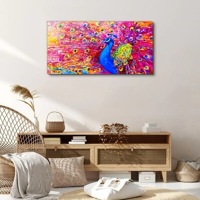 Foto op canvas Een kleurrijke pauw in de lentegloed