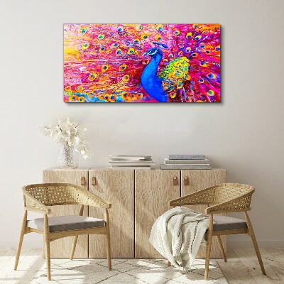 Foto op canvas Een kleurrijke pauw in de lentegloed