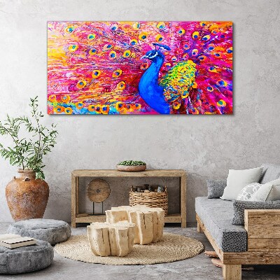 Foto op canvas Een kleurrijke pauw in de lentegloed