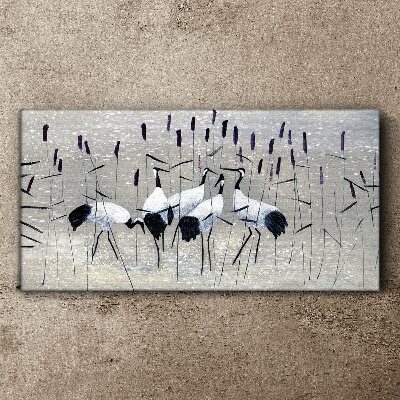 Canvas schilderij Witte kraanvogels in het riet