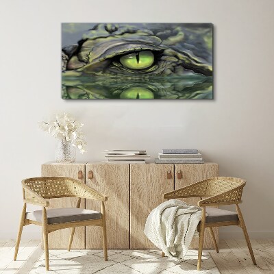 Foto op canvas Kikkeroog in de weerspiegeling van het water