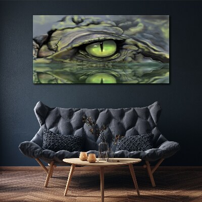 Foto op canvas Kikkeroog in de weerspiegeling van het water