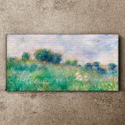 Foto op canvas Weide in de zon