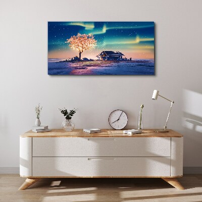 Foto op canvas Een magische avond onder de sterren