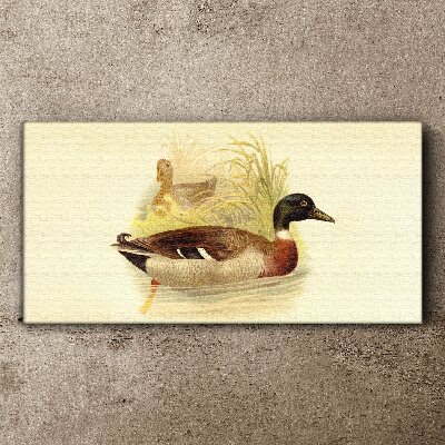 Schilderij op doek Eenden in het gras