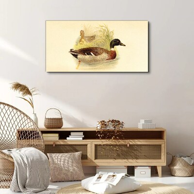 Schilderij op doek Eenden in het gras