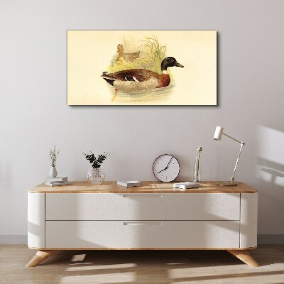 Schilderij op doek Eenden in het gras