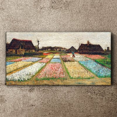 Schilderij op doek Lente tulpenvelden