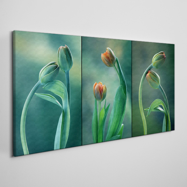 Foto op canvas Tulpen in tinten groen