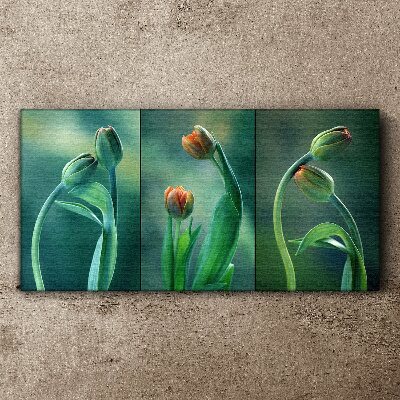 Foto op canvas Tulpen in tinten groen