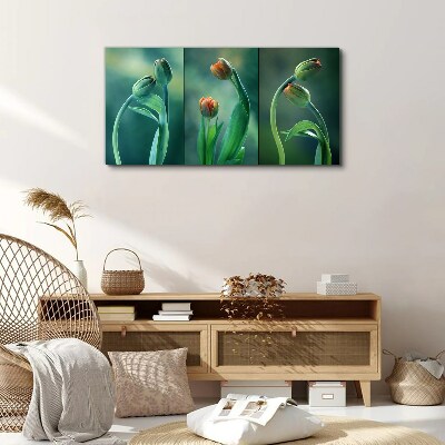 Foto op canvas Tulpen in tinten groen