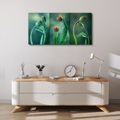 Foto op canvas Tulpen in tinten groen