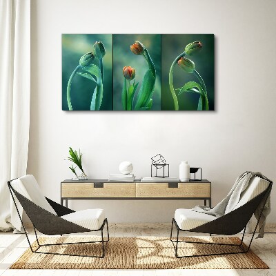 Foto op canvas Tulpen in tinten groen