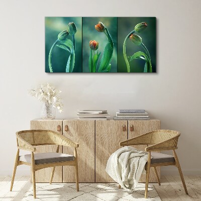 Foto op canvas Tulpen in tinten groen