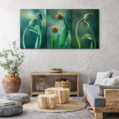 Foto op canvas Tulpen in tinten groen