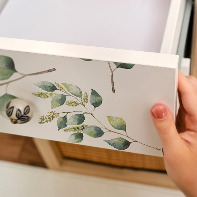 Meubelfolie Botanische bladeren