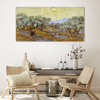 Foto op glas Olijfbomen in de zon