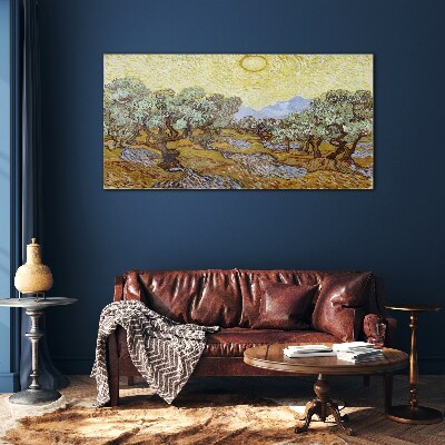 Foto op glas Olijfbomen in de zon