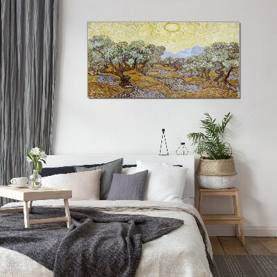 Foto op glas Olijfbomen in de zon