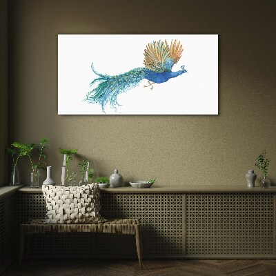 Foto op glas Een kleurrijke pauw in beweging