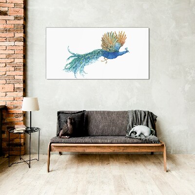 Foto op glas Een kleurrijke pauw in beweging