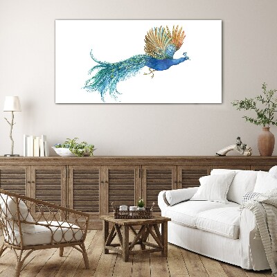 Foto op glas Een kleurrijke pauw in beweging