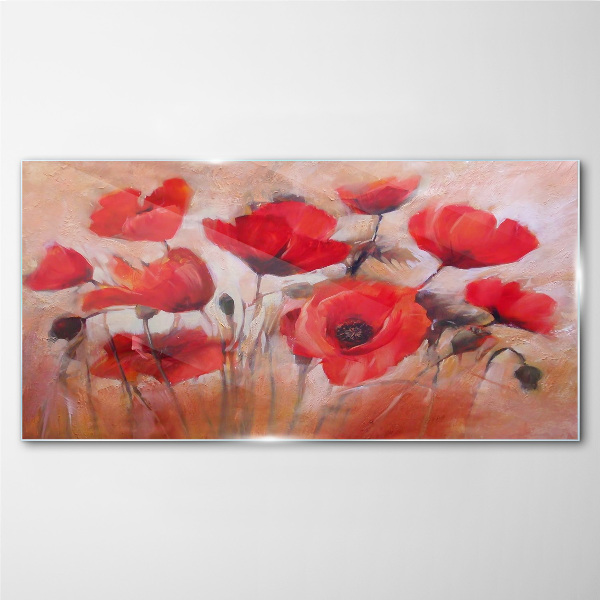 Glas foto Rode klaprozen op een pastelachtergrond