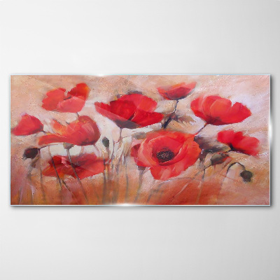 Glas foto Rode klaprozen op een pastelachtergrond