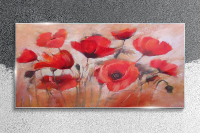 Glas foto Rode klaprozen op een pastelachtergrond